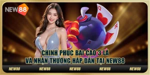Chinh phục bài cào 3 lá và nhận thưởng hấp dẫn tại New88