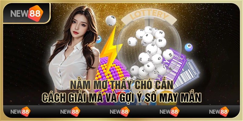 Nằm mơ thấy chó cắn: Cách giải mã và gợi ý số may mắn