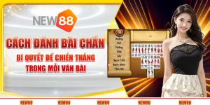 Cách đánh bài Chắn: Bí quyết để chiến thắng trong mỗi ván bài