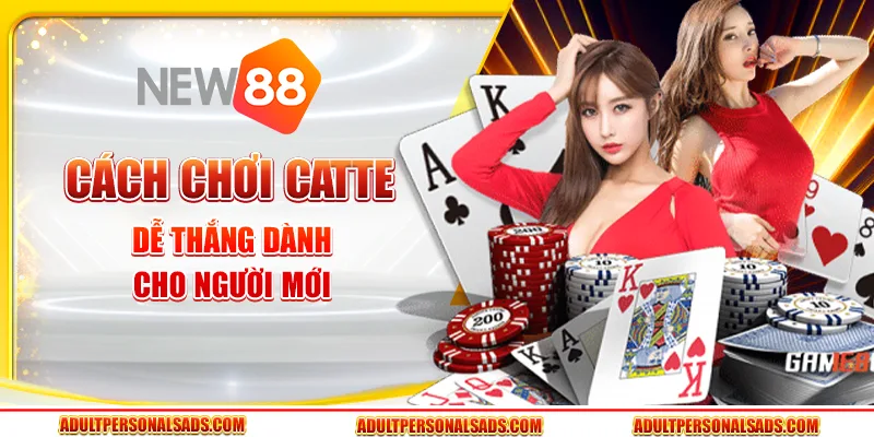 Cách chơi Catte dễ thắng dành cho người mới