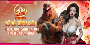 đá gà hàng xáo