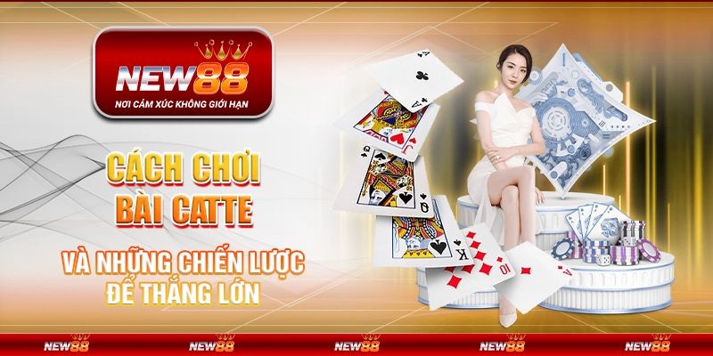 Cách chơi bài Catte và những chiến lược để thắng lớn